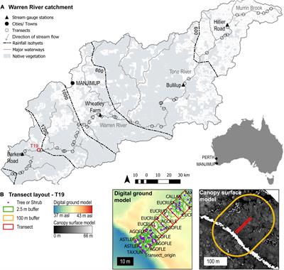 Evidence of Range Shifts in Riparian Plant Assemblages in Response to Multidecadal Streamflow Declines